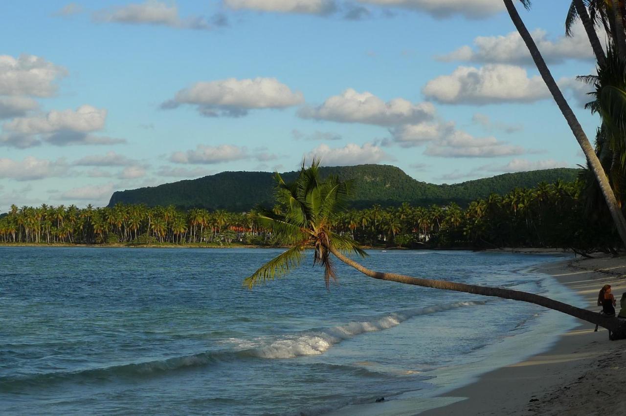 Apart-Hotel Garden Villa Las Galeras Buitenkant foto