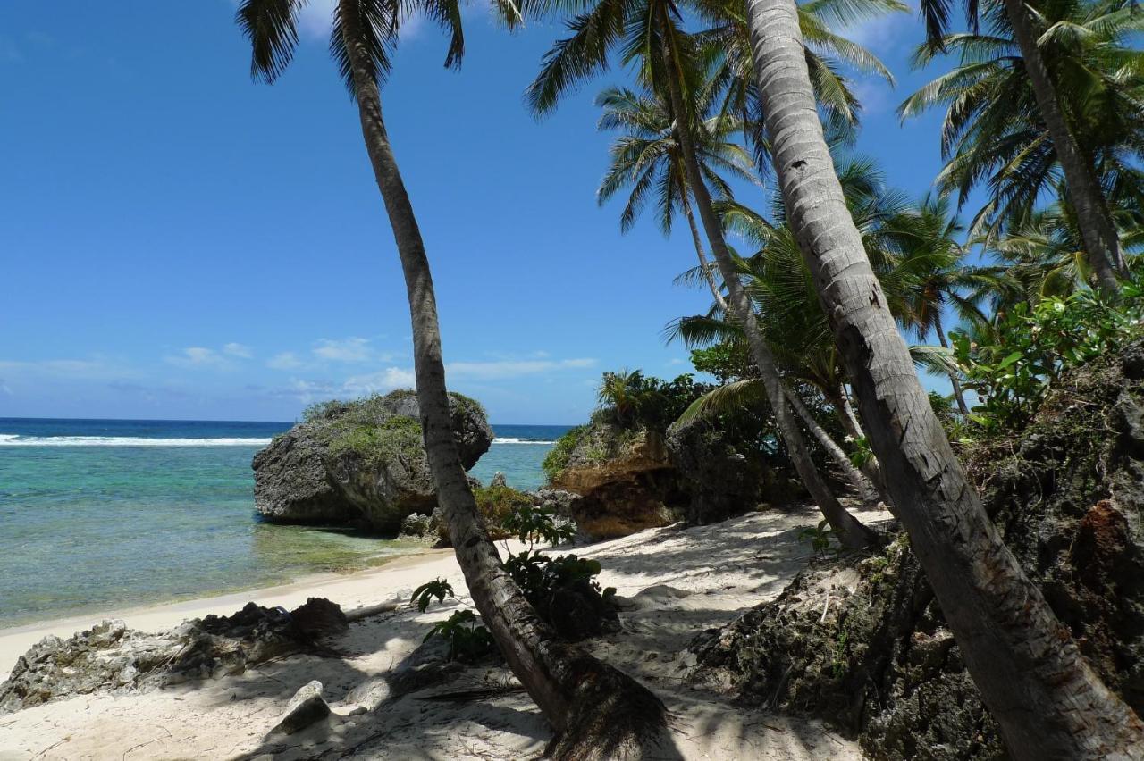 Apart-Hotel Garden Villa Las Galeras Buitenkant foto